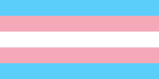 Trans Flags